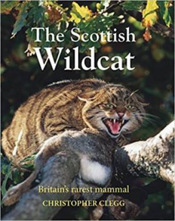 The Scottish Wildcat by Christopher Clegg
