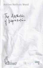 The Aesthetics of Degradation