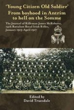 Young Citizen Old Soldier From Boyhood in Antrim to Hell on the Somme