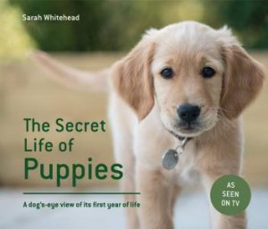 The Secret Lives Of Puppies:  A Dog's Eye View Of Its First Year Of Life by Sarah Whitehead