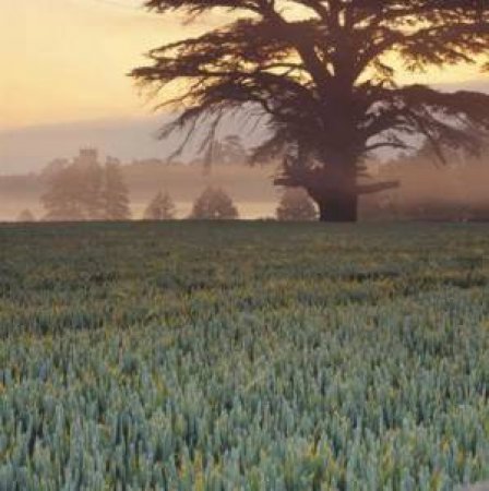 A Breath Of Fresh Air: How To Feel Good All Year Round by Rebecca Frank