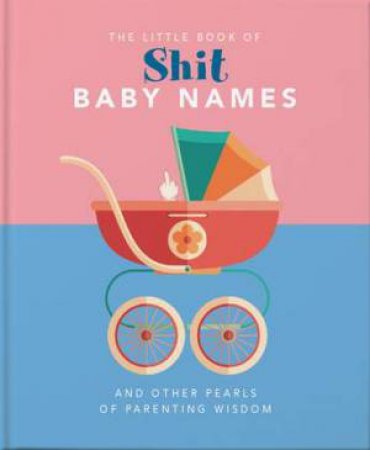 The Little Book Of Shit Baby Names by Various
