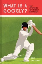 What Is A Googly The Mysteries Of Cricket Explained