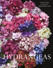 Hydrangeas Beautiful Varieties For Home And Garden