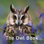 Owl Book