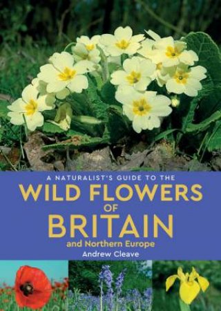 A Naturalist's Guide To The Wild Flowers Of Britain And Northern Europe by Andrew Cleave