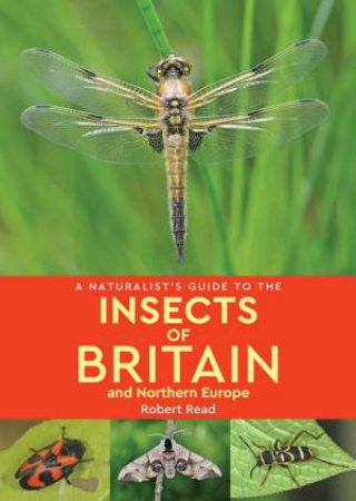 A Naturalist's Guide To The Insects Of Britain And Northern Europe (2nd Ed) by Robert Read