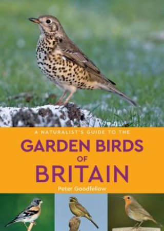 A Naturalist's Guide To The Garden Birds Of Britain (2nd Ed) by Peter Goodfellow
