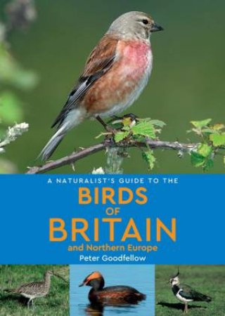 A Naturalist's Guide To The Birds Of Britain And Northern Europe (2nd Ed) by Peter Goodfellow