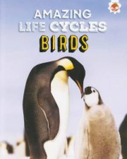 Amazing Life Cycles Birds
