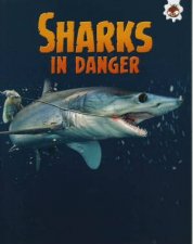 Sharks Sharks In Danger