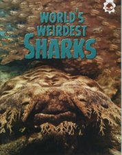 Sharks Worlds Weirdest Sharks