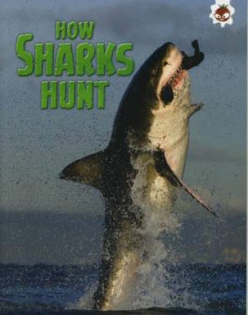 Sharks!: How Sharks Hunt by Paul Mason
