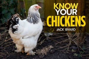Know Your Chickens by Jack Byard