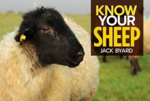 Know Your Sheep by Jack Byard