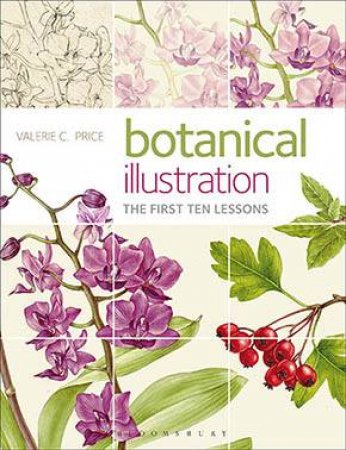Botanical Illustration by Valerie Price