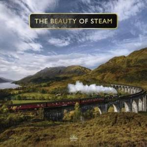 The Beauty Of Steam by P. Waller