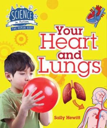 Human Body: Your Heart and Lungs by Sally Hewitt