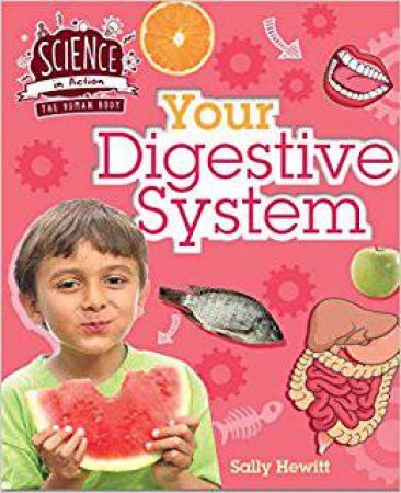 Human Body: Your Digestive System by Sally Hewitt