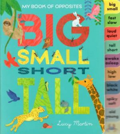 Big Small Short Tall by Lucy Martin