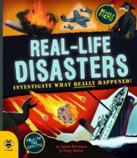 RealLife Disasters Investigate What Really Happened