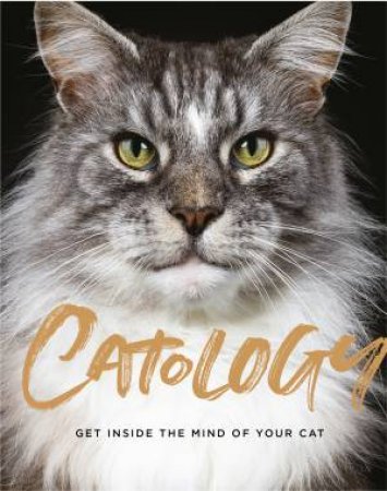 Catology by Susanna Geoghegan