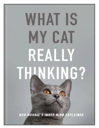 What Is My Cat Really Thinking? by Susanna Goeghegan