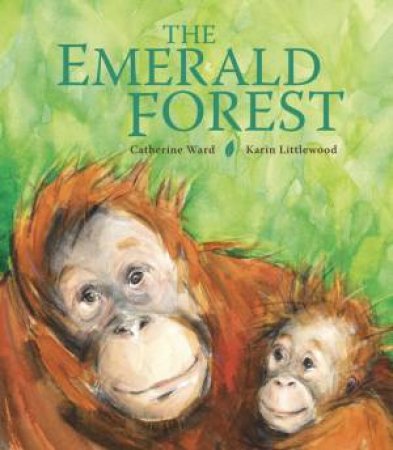 The Emerald Forest by Karin Littlewood & Catherine Ward