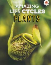 Amazing Life Cycles Plants