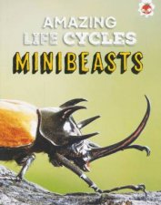 Amazing Life Cycles Minibeasts