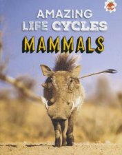 Amazing Life Cycles Mammals