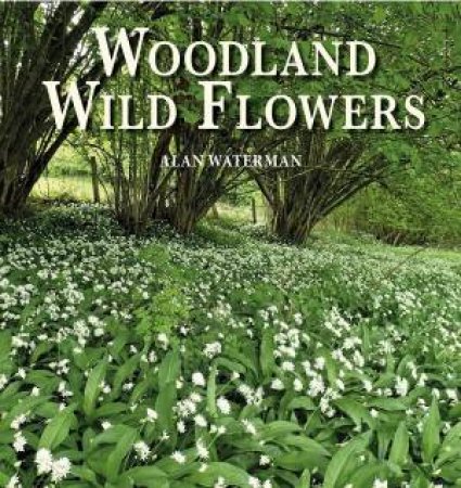 Woodland Wild Flowers: Through The Seasons by Alan Waterman