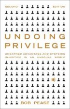 Undoing Privilege Unearned Advantage And Systemic Injustice In An Unequal World