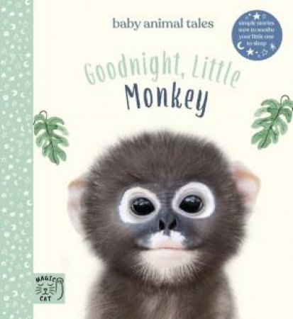 Goodnight, Little Monkey by Amanda Wood & Bec Winnel & Vikki Chu