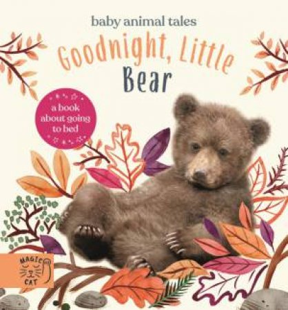 Goodnight, Little Bear by Amanda Wood & Bec Winnel & Vikki Chu