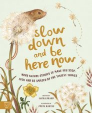 Slow Down And Be Here Now