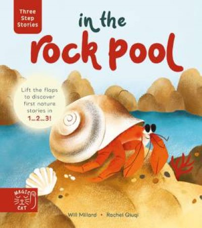 Three Step Stories: In the Rock Pool by Will Millard & Rachel Quiqi