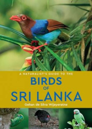 A Naturalist's Guide To The Birds Of Sri Lanka (3rd Edition) by Gehan de Silva Wijeyeratne