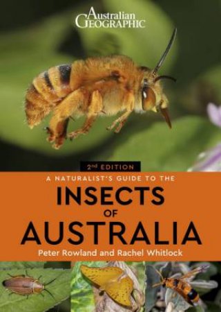 Australian Geographic Naturalist's Guide To The Insects Of Australia 2nd Ed by Peter Rowland & Rachel Whitlock