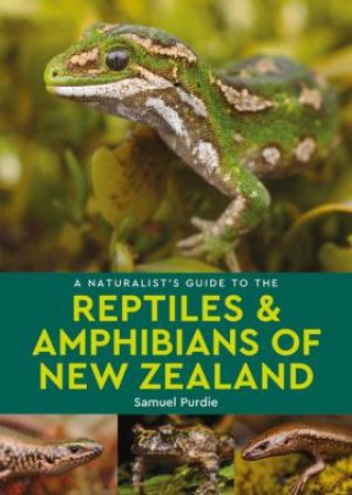 A Naturalist's Guide To The Reptiles & Amphibians Of New Zealand