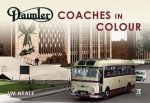 Daimler Coaches In Colour