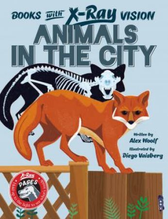 Books With X-Ray Vision: Animals In The City by Alex Woolf & Diego Vaisberg