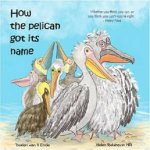 How The Pelican Got Its Name