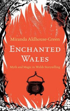 Enchanted Wales by Miranda Aldhouse-Green