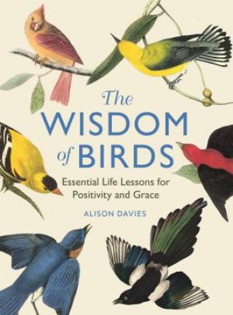 The Wisdom of Birds by Alison Davies