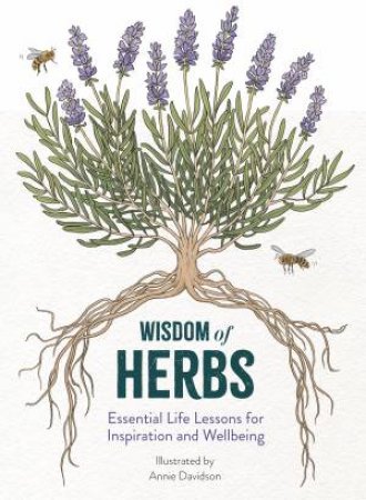 Wisdom of Herbs by Alison Davies & Annie Davidson