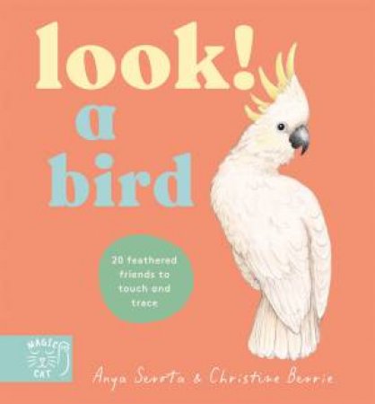 Look! A Bird! by Anya Serota