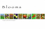 Blooms Gift Card Pack
