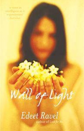A Wall Of Light by Edeet Ravel