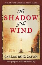 The Shadow Of The Wind